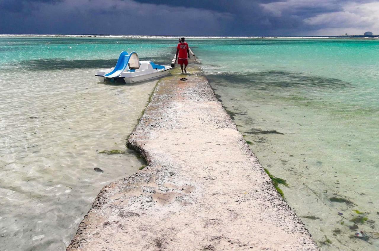 Апартаменты Parco Del Caribe Бока-Чика Экстерьер фото